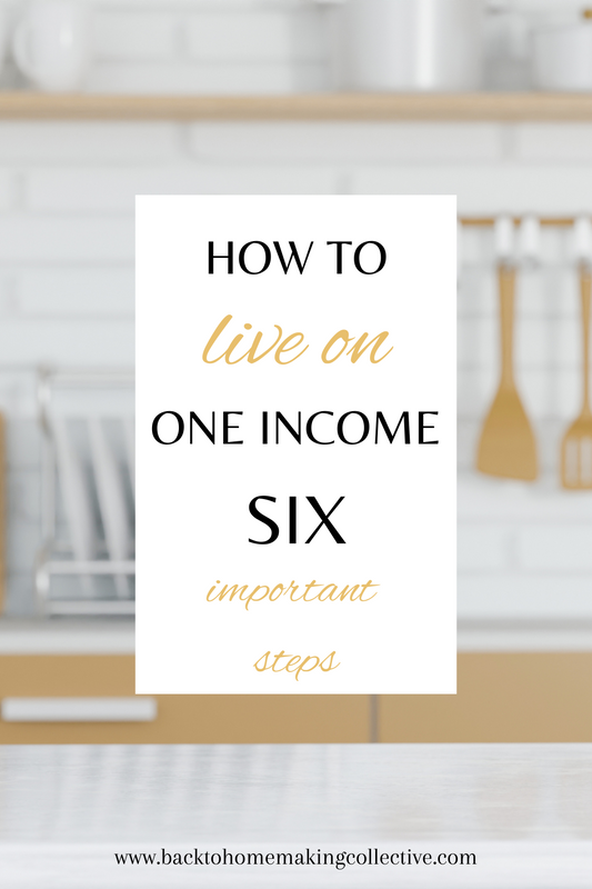 Living on one income 