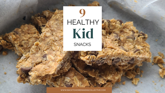 9 Healthy Kid Friendly Snacks